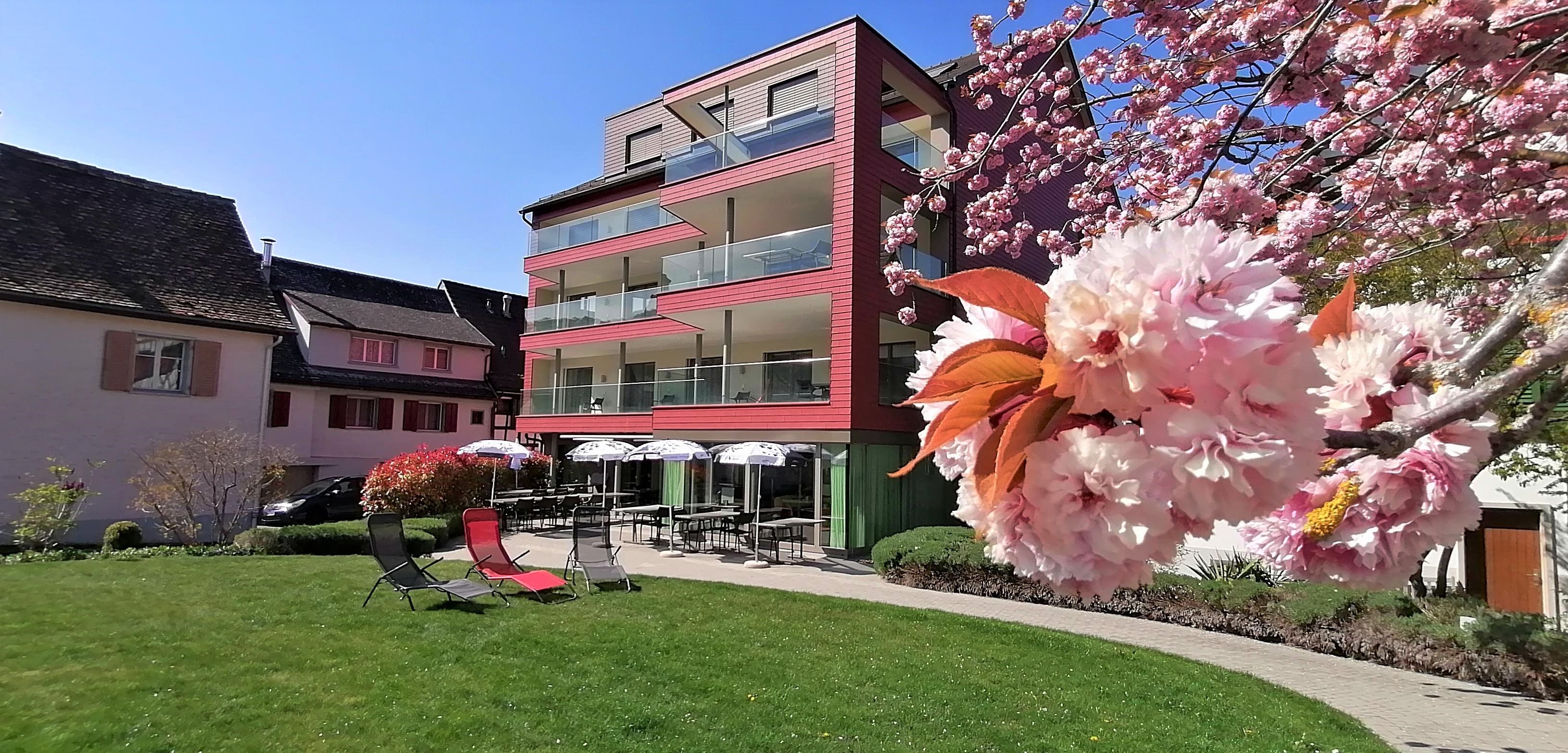Hotel mit Gartenblick und Baum in voller Blütenpracht.